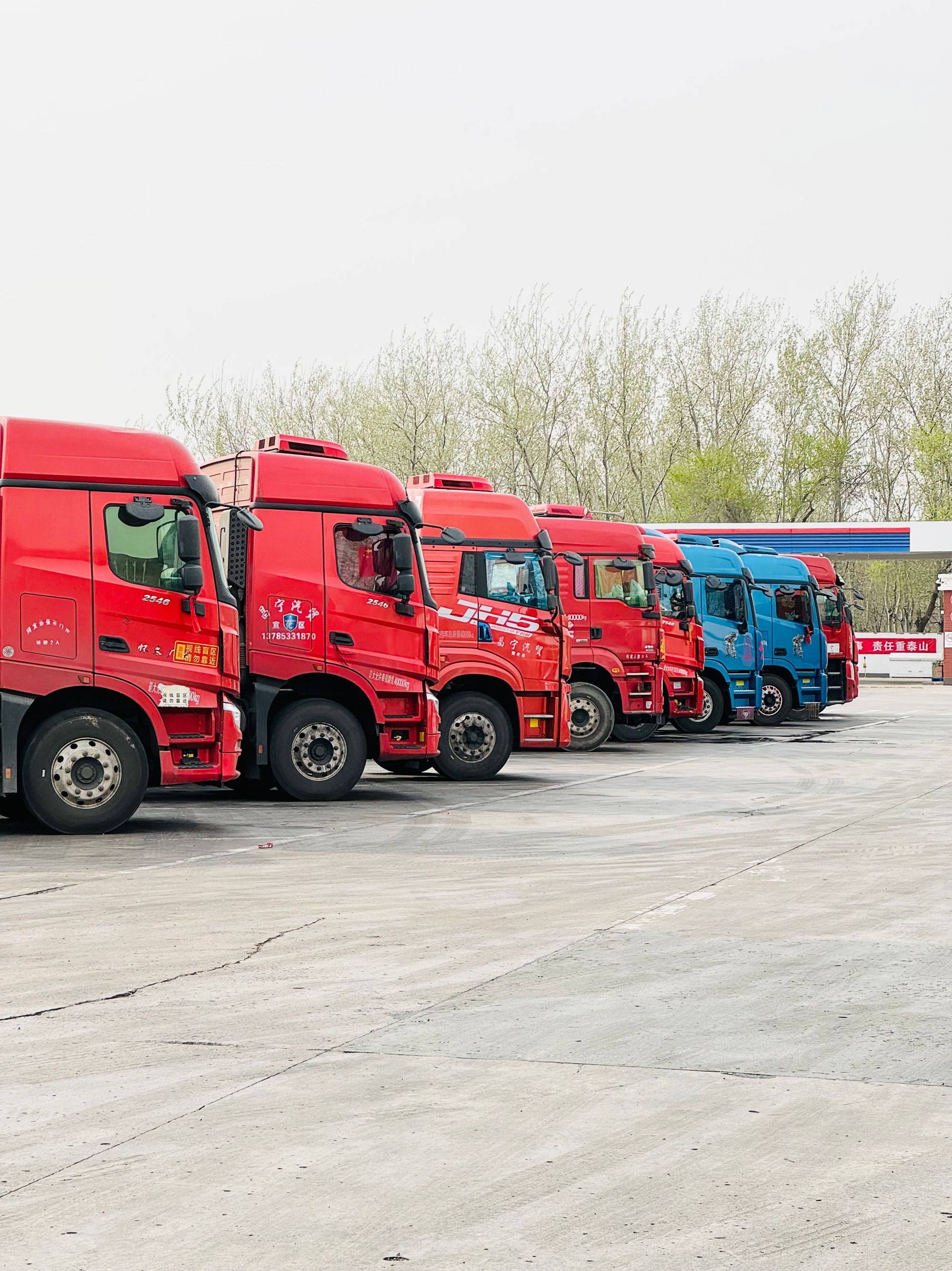 Reihe roter Sattelzüge einer LKW-Flotte auf einem Betriebshof